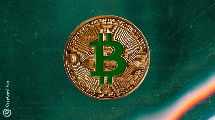 
			Ордера китов поддерживают уровень цены Bitcoin чуть ниже $80 000		